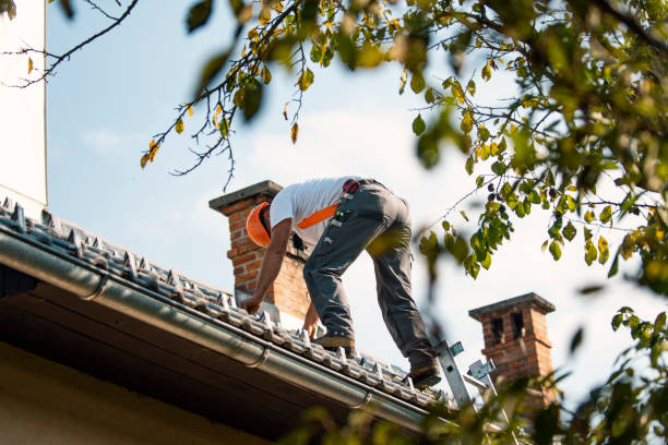 Best Metal Roofing Contractor  in Menifee, CA